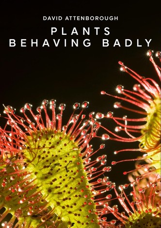 Plants Behaving Badly