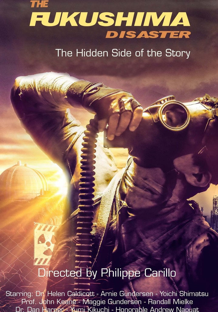 The Fukushima Disaster: The Hidden Side of The Story