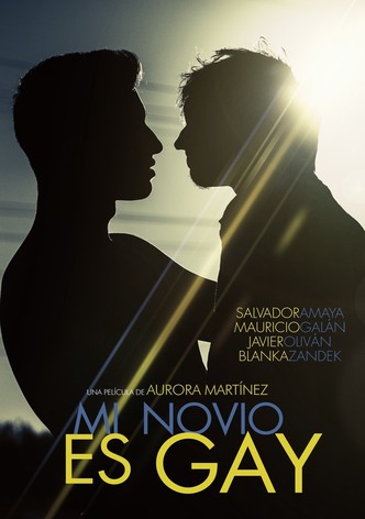 Mi novio es gay