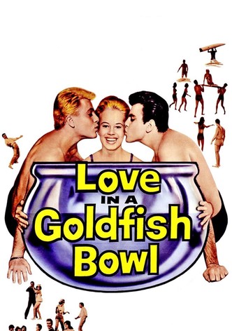 Love in a Goldfish Bowl