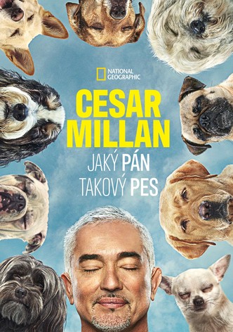 Cesar Millan: Jaký pán, takový pes