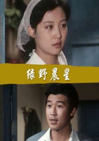 绿野晨星