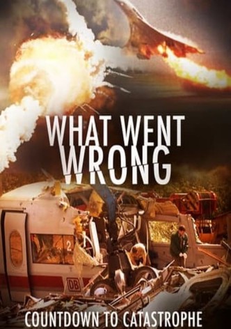 What Went Wrong: Countdown to Catastrophe