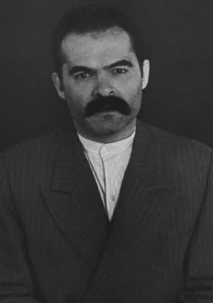 Reminiscências de um Projeto