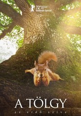 A tölgy - Az erdő szíve