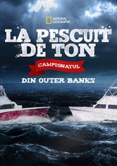 La pescuit de ton