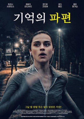 기억의 파편