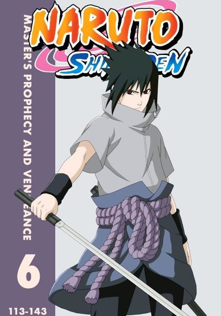 Naruto shippuden 6 temporada dublado quando sai