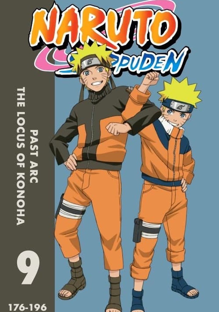 Naruto Shippuden temporada 9 - Ver episodios online - What Comes After Naruto Season 9 On Netflix