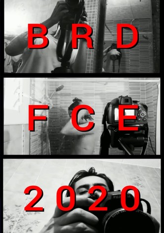 BRDFCE2020