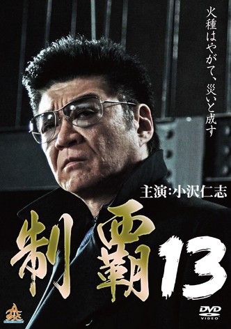 Conquest 13
