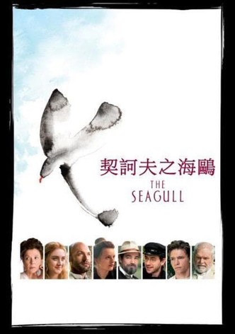 海鸥