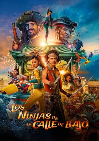 De piraten van hiernaast: De ninja's van de overkant