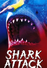 Shark Attack