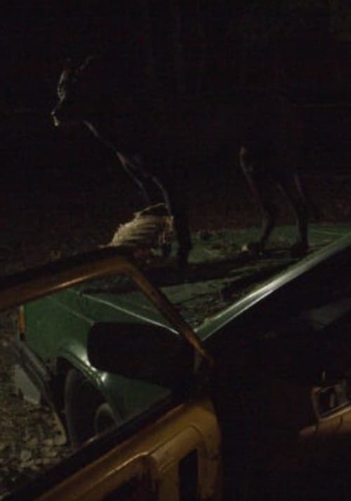 Nothing Runs Like a Deere