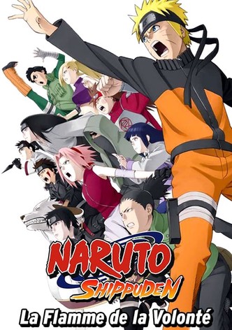 Naruto Shippuden : La Flamme de la volonté