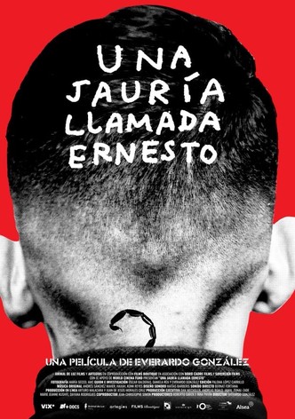 Una jauría llamada Ernesto