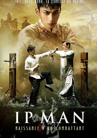 Ip Man : Naissance d'un combattant
