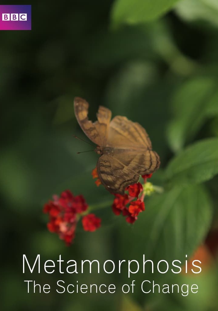 Metamorphosis: The Science of Change
