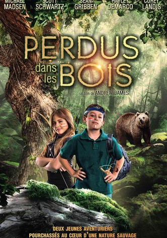 Perdus dans les bois