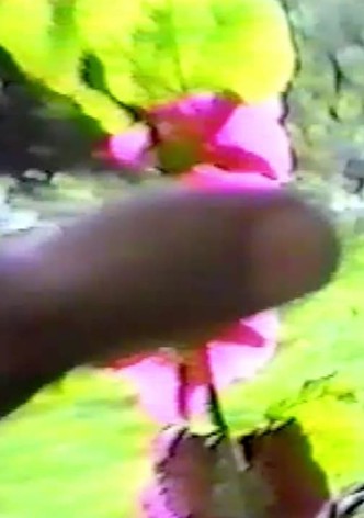 Hand In The Sun