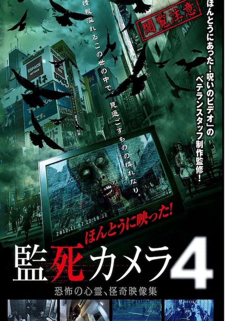 Paranormal Surveillance Camera 4