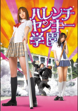 Shameless Yankee Academy
