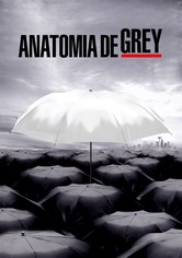 Anatomia de Grey