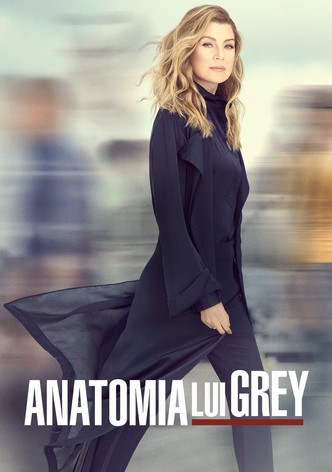 Anatomia lui Grey