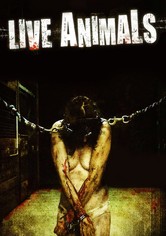 Live Animals