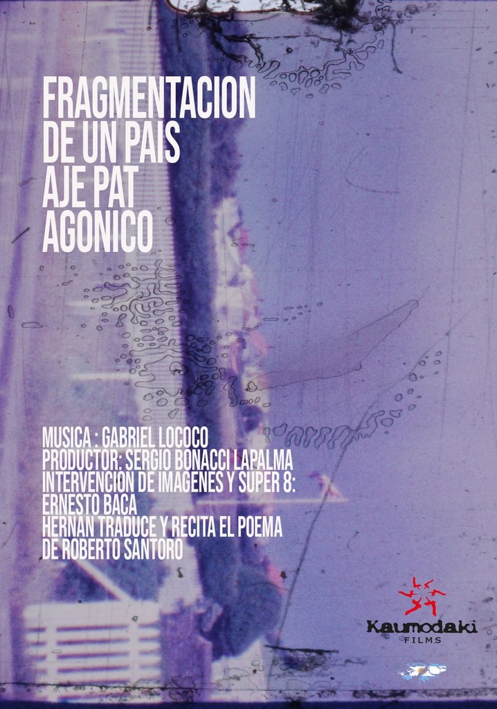 Fragment of a Patagonia Landscape