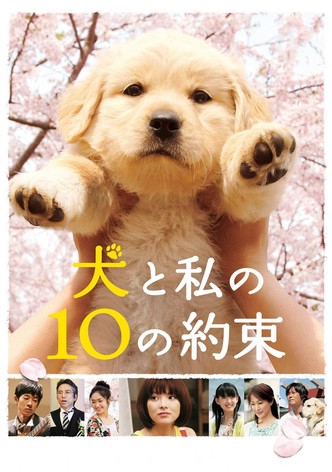 犬と私の10の約束