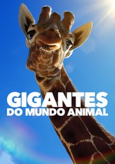 Gigantes do Mundo Animal