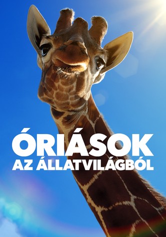 Óriások az állatvilágból