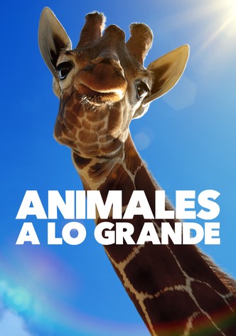 Animales a lo grande