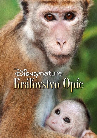 Kráľovstvo opíc