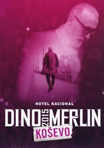 Dino Merlin Live at Kosevo 2015