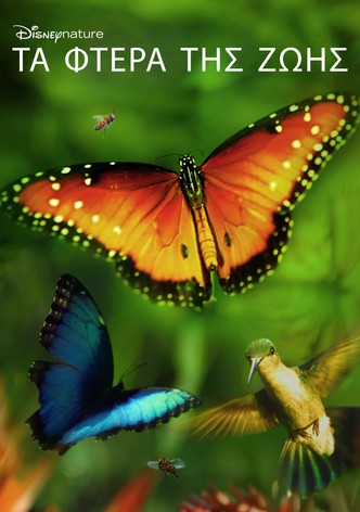 Τα Φτερά της Ζωής