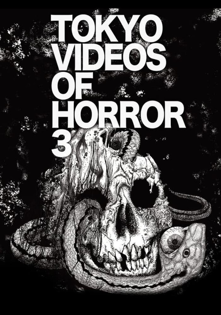 Tokyo Videos of Horror 3