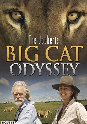 Big Cat Odyssey