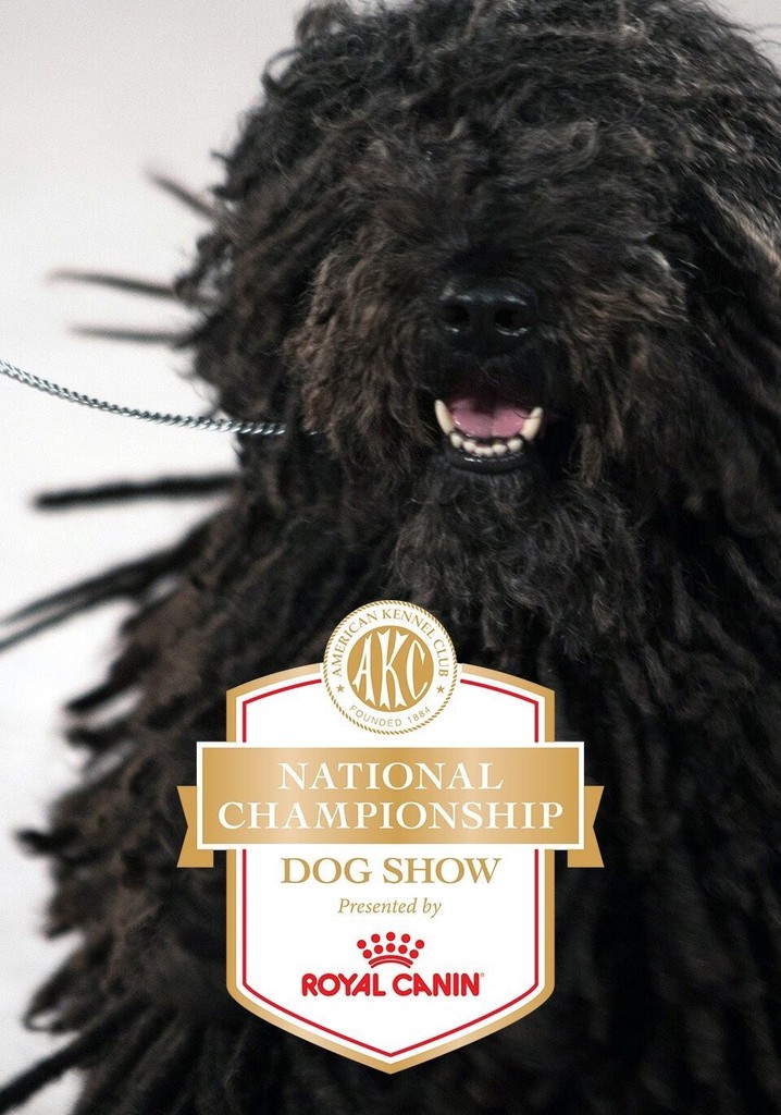 AKC National Championship streaming watch online