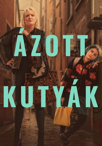 Ázott kutyák
