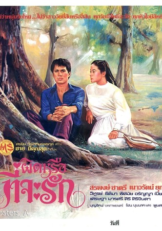 ผิดหรือที่จะรัก