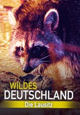Wildes Deutschland: Die Lausitz