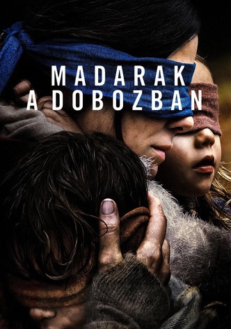 Madarak a dobozban