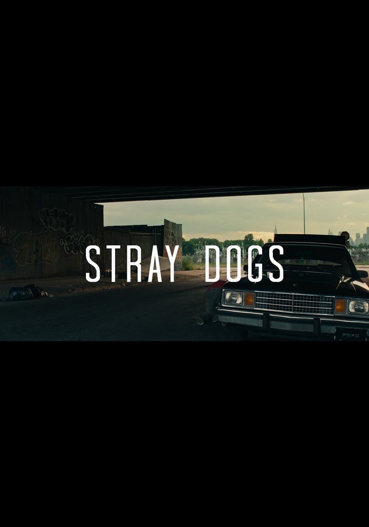 Stray Dogs