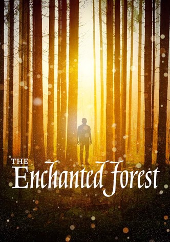 The Enchanted Forest