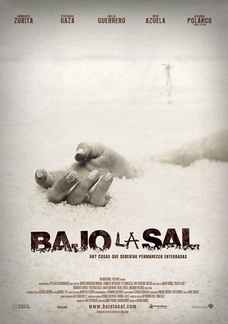 Bajo la sal