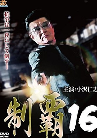 Conquest 16