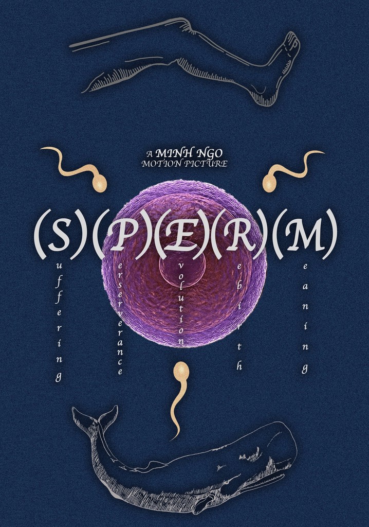 (S)uffering(P)erseverance(E)volution(R)ebirth(M)eaning